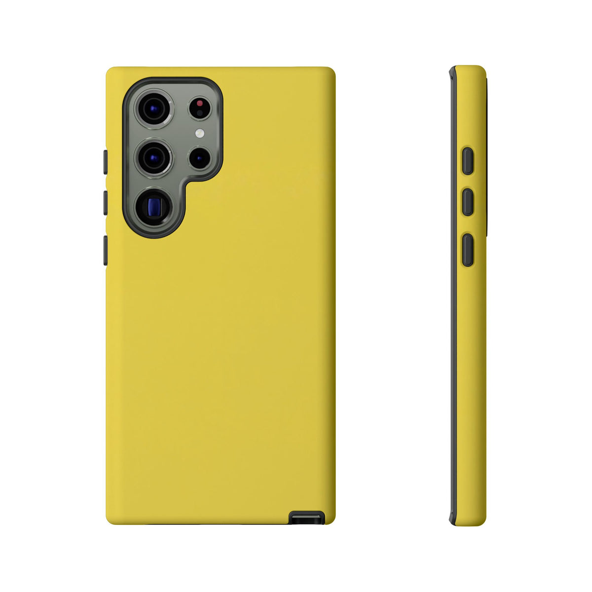 Sun Flowers